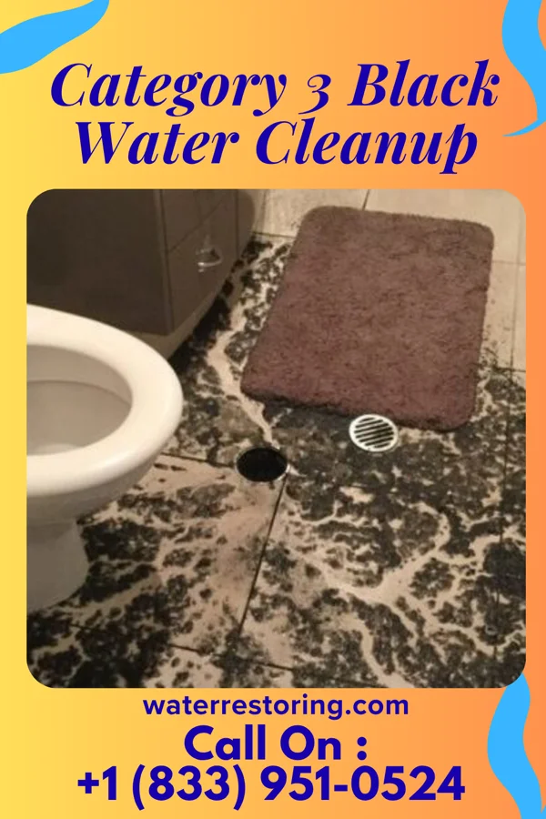 Category 3 Black Water Cleanup in College Park, MD